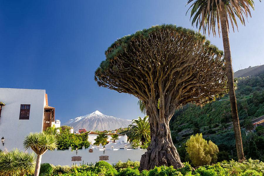 Vacante in Tenerife Bucuresti Vacante in Tenerife Bucuresti