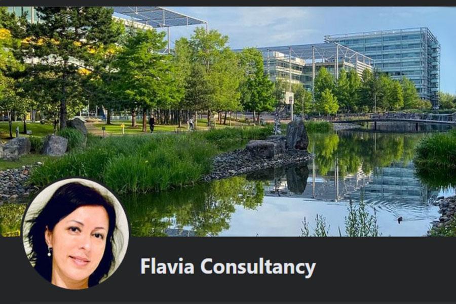 Flavia Consultancy England - London